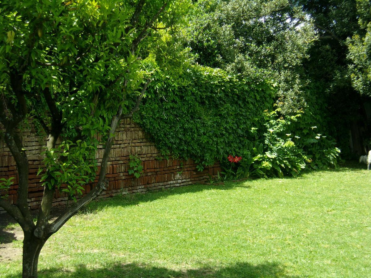 La Posada De Don Segundo 산안토니오데아레코 외부 사진